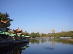 翠湖公園