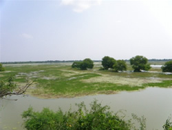 ケオラデオ国立公園(インド世界遺産）