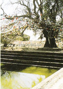 仏陀生誕地ルンビニー（ネパール世界遺産）