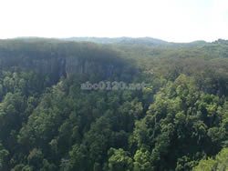 オーストラリア中東部多雨林保護区（オーストラリア世界遺産）