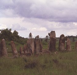 ティヤ石碑群石碑群（エチオピア世界遺産）