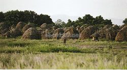 オモ川下流域（エチオピア世界遺産）