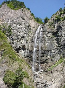 コミの原生林（ロシア世界遺産）